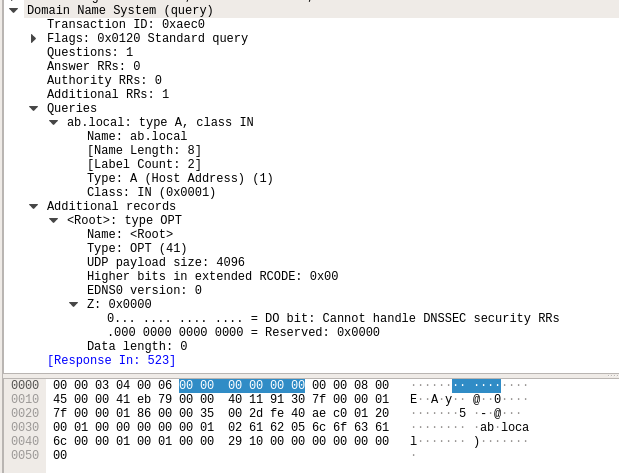 Reversing de protocolos de red: DNS